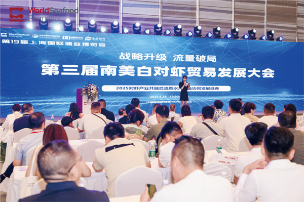 会议活动 多维深交流