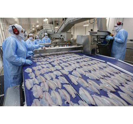 支柱产业遭遇多重波动：巴西罗非鱼2025-2026面临严峻挑战