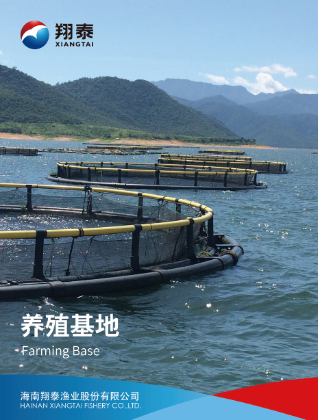 海南翔泰渔业股份有限公司——打造世界绿色健康水产(图3)