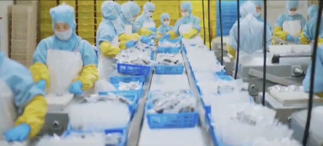 【优质展商】丹东泰宏食品有限公司——全球首个杂色蛤MSC认证企业(图2) 【优质展商】丹东泰宏食品有限公司——全球首个杂色蛤MSC认证企业(图2)