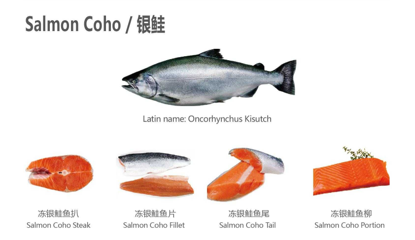 【优质展商】天津食品供应链集团国际贸易有限公司——共享、服务(图2)
