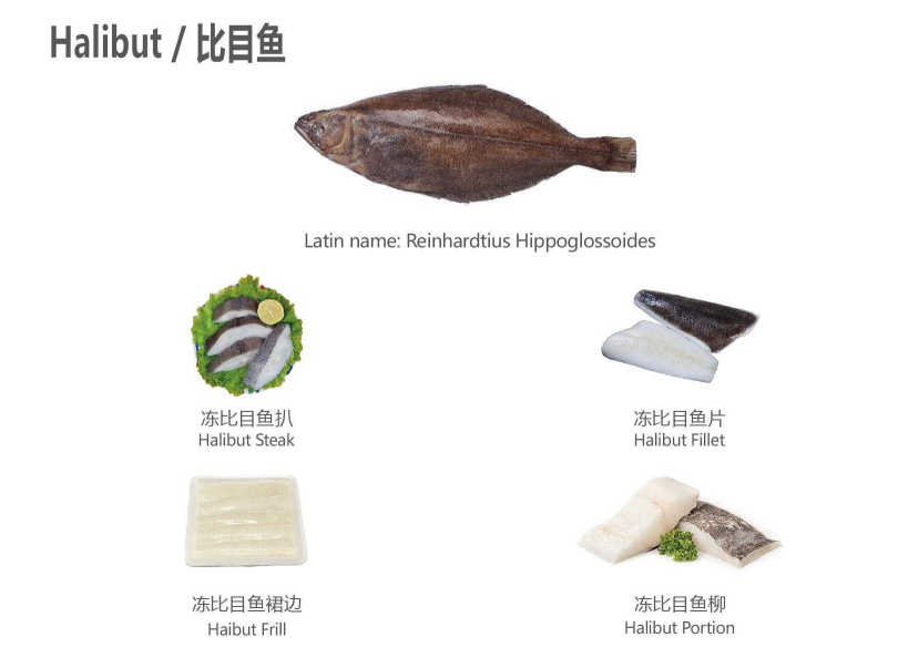 【优质展商】天津食品供应链集团国际贸易有限公司——共享、服务(图3)