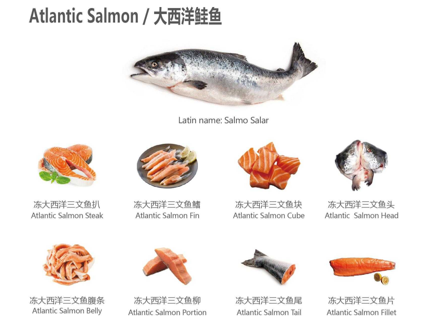 【优质展商】天津食品供应链集团国际贸易有限公司——共享、服务(图1)