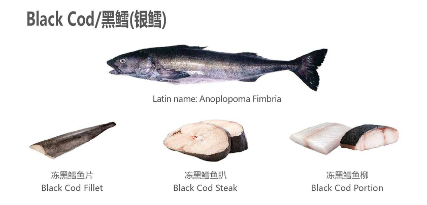【优质展商】天津食品供应链集团国际贸易有限公司——共享、服务(图4)