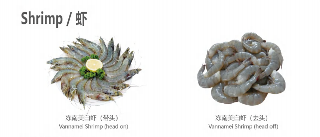 【优质展商】天津食品供应链集团国际贸易有限公司——共享、服务(图7)