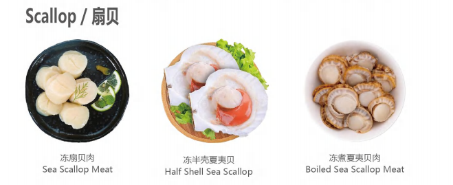 【优质展商】天津食品供应链集团国际贸易有限公司——共享、服务(图8)