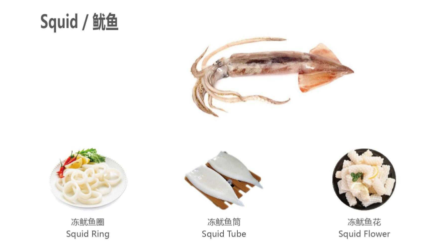 【优质展商】天津食品供应链集团国际贸易有限公司——共享、服务(图9)