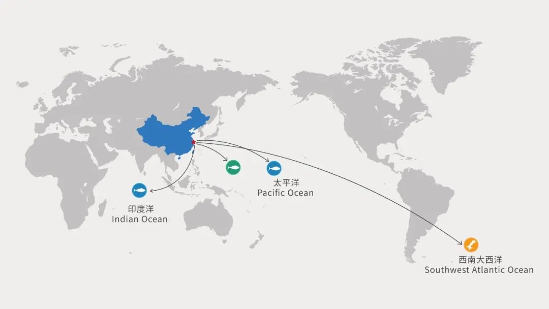 大洋世家:远洋渔业的隐形冠军,如何“钓”出年入39亿的海鲜帝国(图5) 大洋世家:远洋渔业的隐形冠军,如何“钓”出年入39亿的海鲜帝国(图5)