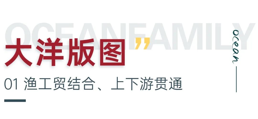 大洋世家:远洋渔业的隐形冠军,如何“钓”出年入39亿的海鲜帝国(图3) 大洋世家:远洋渔业的隐形冠军,如何“钓”出年入39亿的海鲜帝国(图3)