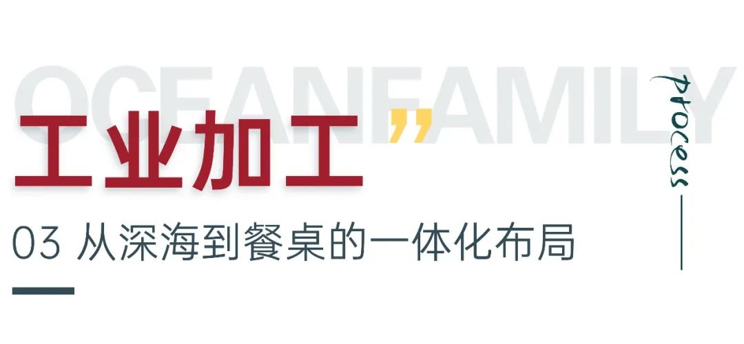 大洋世家:远洋渔业的隐形冠军,如何“钓”出年入39亿的海鲜帝国(图8) 大洋世家:远洋渔业的隐形冠军,如何“钓”出年入39亿的海鲜帝国(图8)