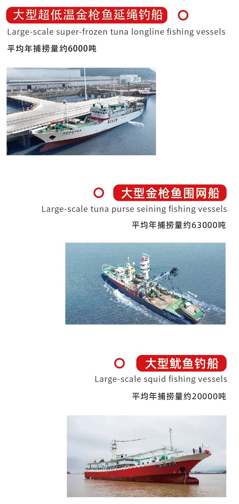 大洋世家:远洋渔业的隐形冠军,如何“钓”出年入39亿的海鲜帝国(图4) 大洋世家:远洋渔业的隐形冠军,如何“钓”出年入39亿的海鲜帝国(图4)