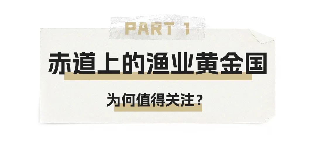 华东渔业顶流局!厄瓜多尔 “国家队” 集结,8月到上海解锁从南美洲到黄浦江的深海密(图1) 图片