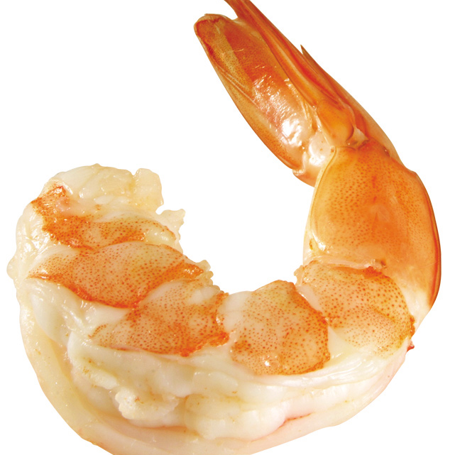 华东渔业顶流局!厄瓜多尔 “国家队” 集结,8月到上海解锁从南美洲到黄浦江的深海密(图13) 图片