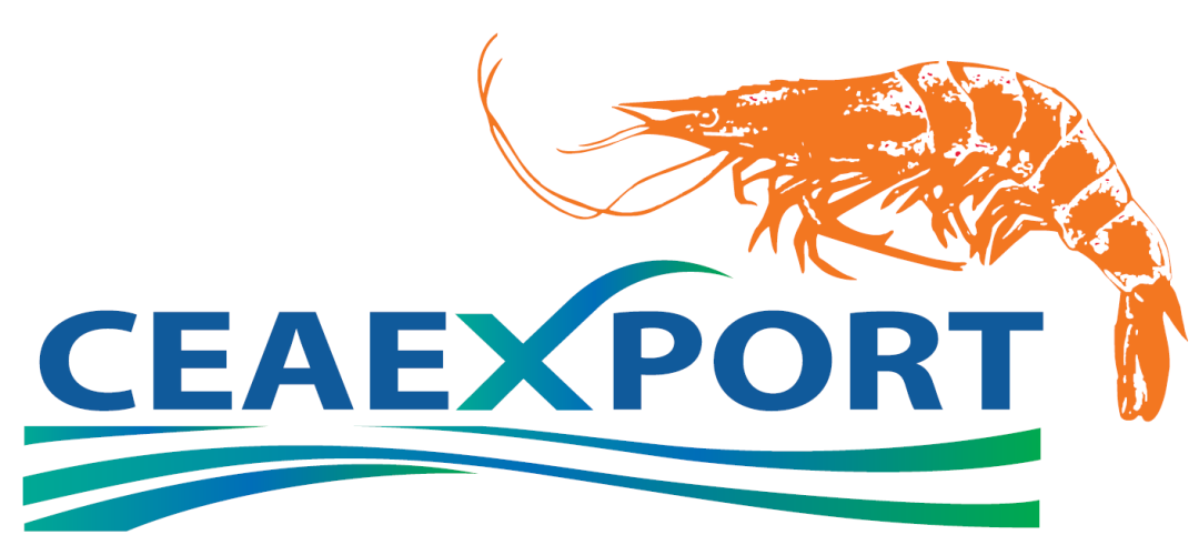 华东渔业顶流局!厄瓜多尔 “国家队” 集结,8月到上海解锁从南美洲到黄浦江的深海密(图20) 图片