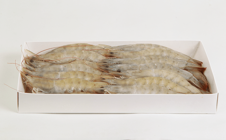 华东渔业顶流局!厄瓜多尔 “国家队” 集结,8月到上海解锁从南美洲到黄浦江的深海密(图30) 图片