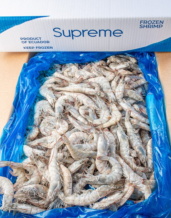 华东渔业顶流局!厄瓜多尔 “国家队” 集结,8月到上海解锁从南美洲到黄浦江的深海密(图37) 图片