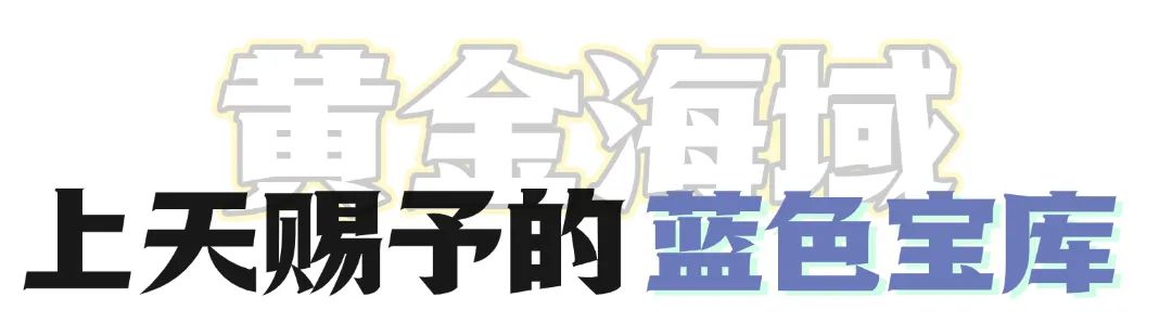 山海馈赠,“千鲜之城”宁德展团即将亮相上海渔博会!(图2) 图片