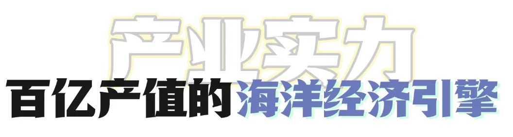 山海馈赠,“千鲜之城”宁德展团即将亮相上海渔博会!(图3) 图片