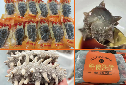 山海馈赠,“千鲜之城”宁德展团即将亮相上海渔博会!(图11) 图片