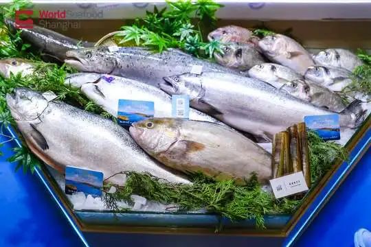 华东顶尖渔业展重磅来袭!第19届上海渔博会倒计时34天,展位售罄在即!(图12) 图片