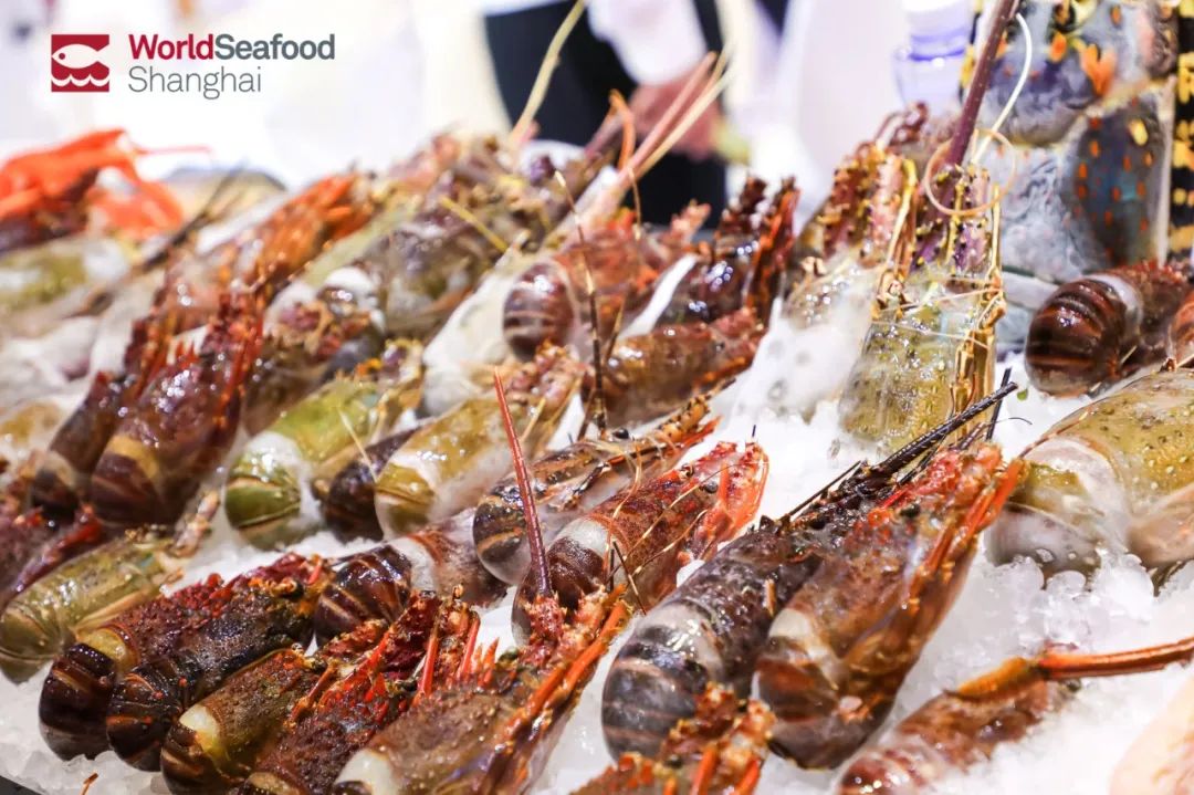 华东顶尖渔业展重磅来袭!第19届上海渔博会倒计时34天,展位售罄在即!(图14) 图片