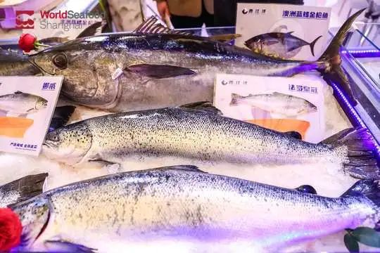 华东顶尖渔业展重磅来袭!第19届上海渔博会倒计时34天,展位售罄在即!(图13) 图片