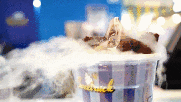 高端不贵，便捷翻倍！上海渔博会滋补新品正在适配年轻化“快养生”(图16)