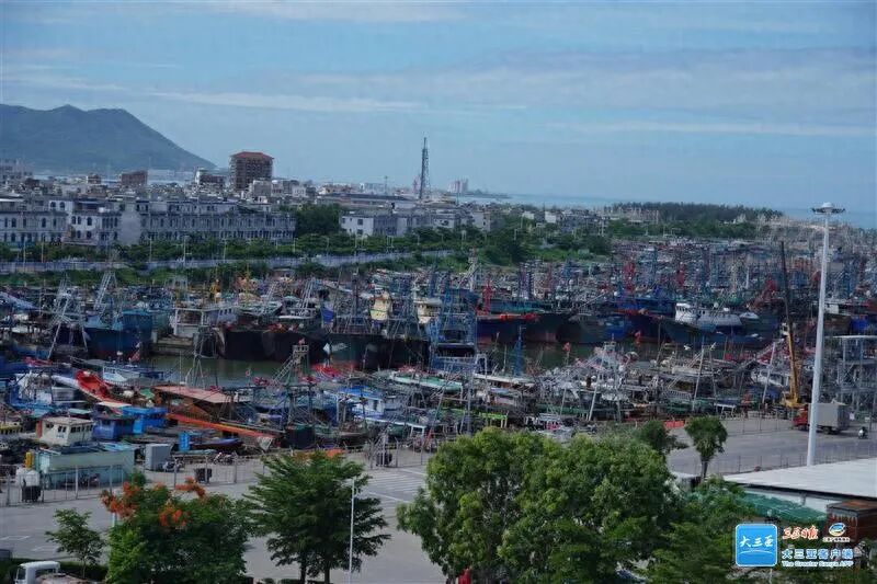 海南通告：12月18日起，全岛封关！(图5)