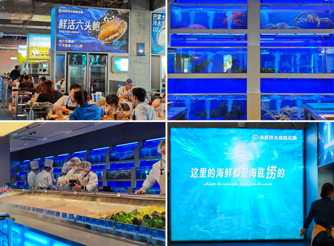 一盘螃蟹15块，海底捞大排档能否改写海鲜火锅市场？(图3)