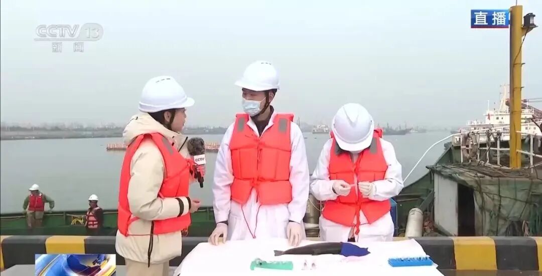 直击海洋牧场转场 | 我国迎来三文鱼陆海接力养殖时代(图2)