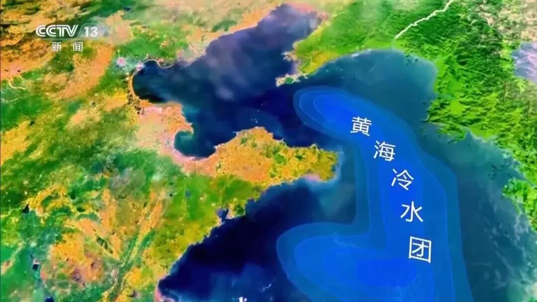 直击海洋牧场转场 | 我国迎来三文鱼陆海接力养殖时代(图15)