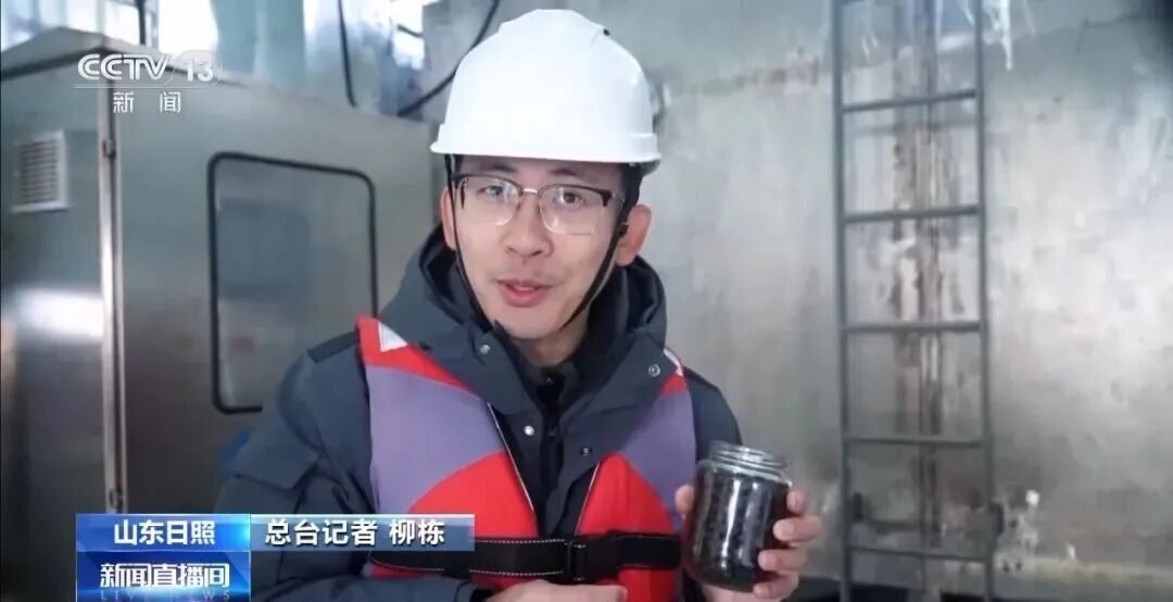 直击海洋牧场转场 | 我国迎来三文鱼陆海接力养殖时代(图11)