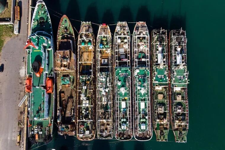 阿根廷鱿鱼季开局不利：恶劣天气与资源分散致“零渔获”(图1)