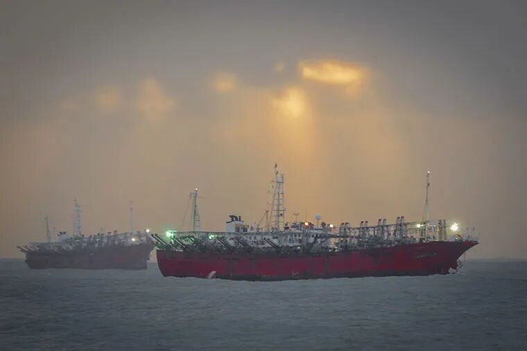 阿根廷鱿鱼季开局不利：恶劣天气与资源分散致“零渔获”(图5)