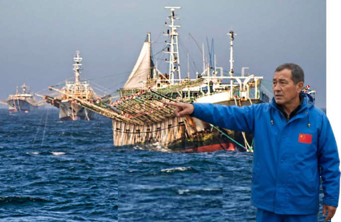 阿根廷鱿鱼季开局不利：恶劣天气与资源分散致“零渔获”(图7)