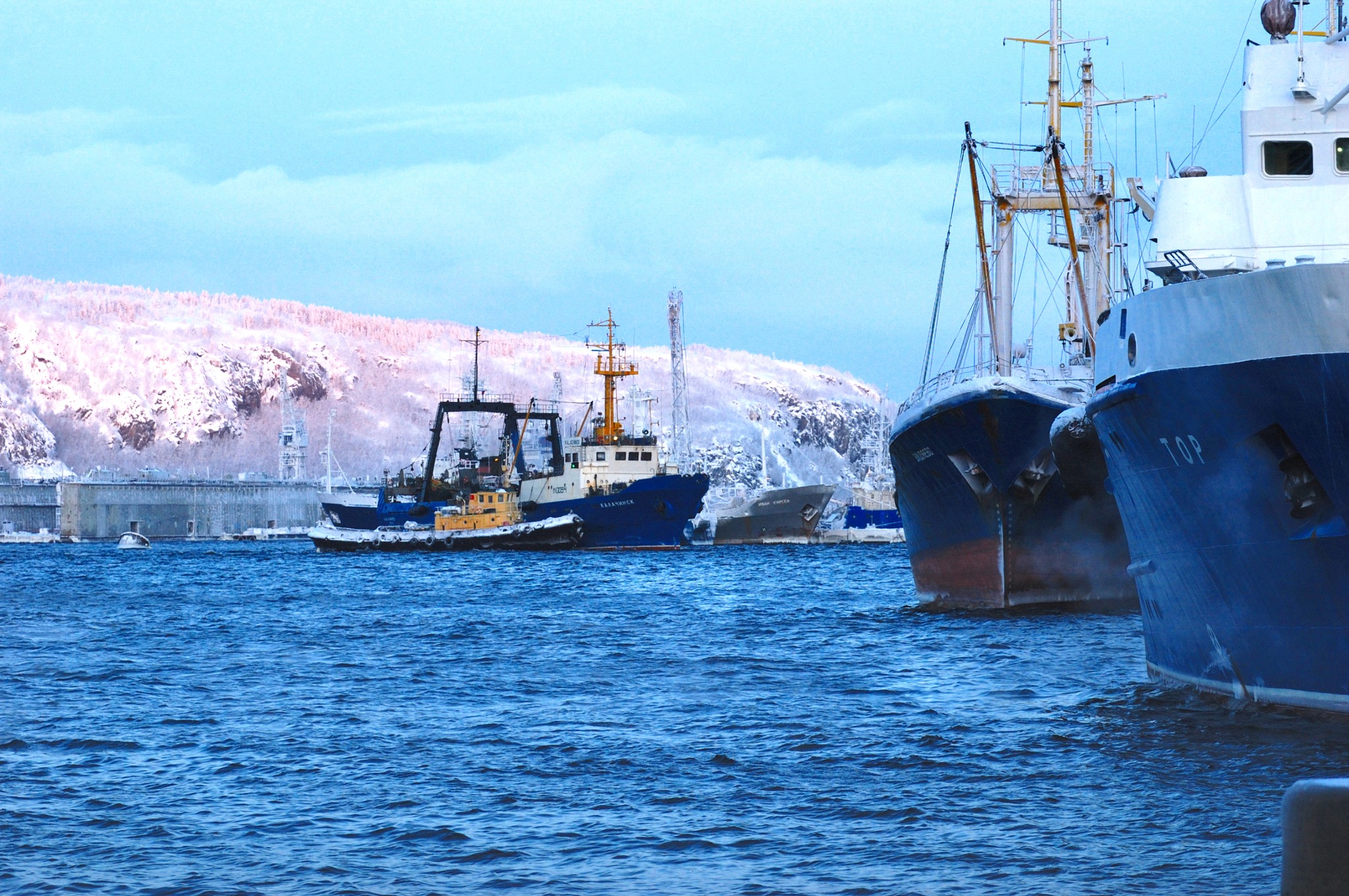 俄罗斯北方渔业再掀国有化浪潮,法律矛头指向“隐形外资”(图6) 俄罗斯北方渔业再掀国有化浪潮,法律矛头指向“隐形外资”(图6)
