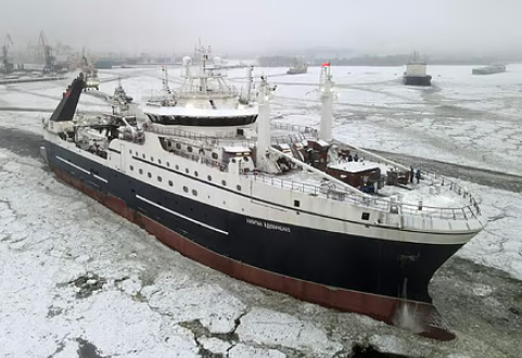 年初至今捕捞超22万吨,俄罗斯渔业哪些海鲜这么“能打”?(图3) 年初至今捕捞超22万吨,俄罗斯渔业哪些海鲜这么“能打”?(图3)