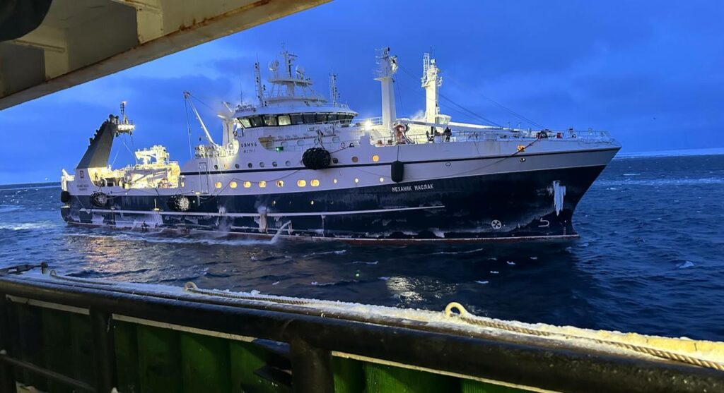 年初至今捕捞超22万吨,俄罗斯渔业哪些海鲜这么“能打”?(图2) 年初至今捕捞超22万吨,俄罗斯渔业哪些海鲜这么“能打”?(图2)