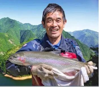 秦岭深处养出“冷泉三文鱼”,商洛探索渔业新路径(图4) 秦岭深处养出“冷泉三文鱼”,商洛探索渔业新路径(图4)