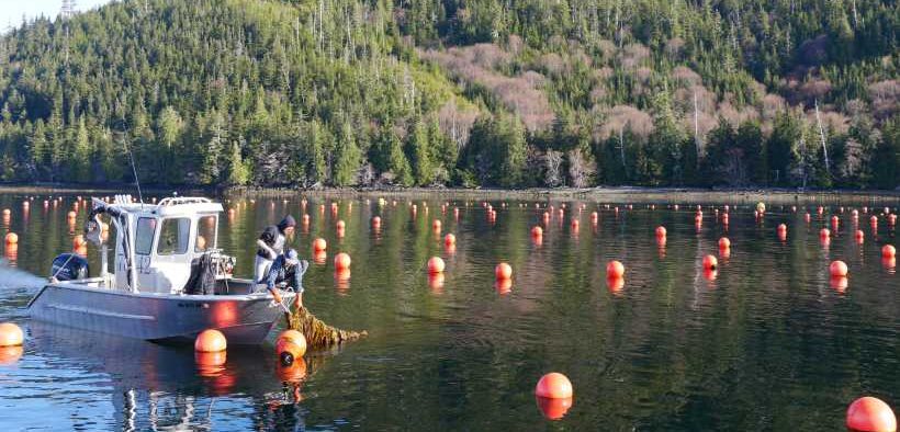 美国正式将水产养殖列为“2026年优先事项”，释放了什么信号？(图3)