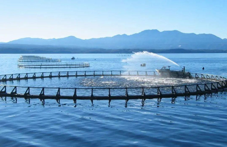 美国正式将水产养殖列为“2026年优先事项”，释放了什么信号？(图5)