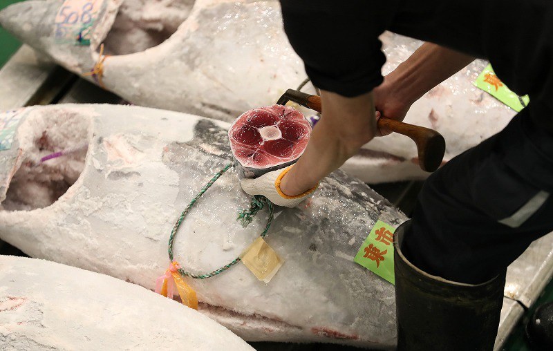 日本金枪鱼市场第9周出现分化 冷冻蓝鳍金枪鱼价格飙升38%(图3) 日本金枪鱼市场第9周出现分化 冷冻蓝鳍金枪鱼价格飙升38%(图3)