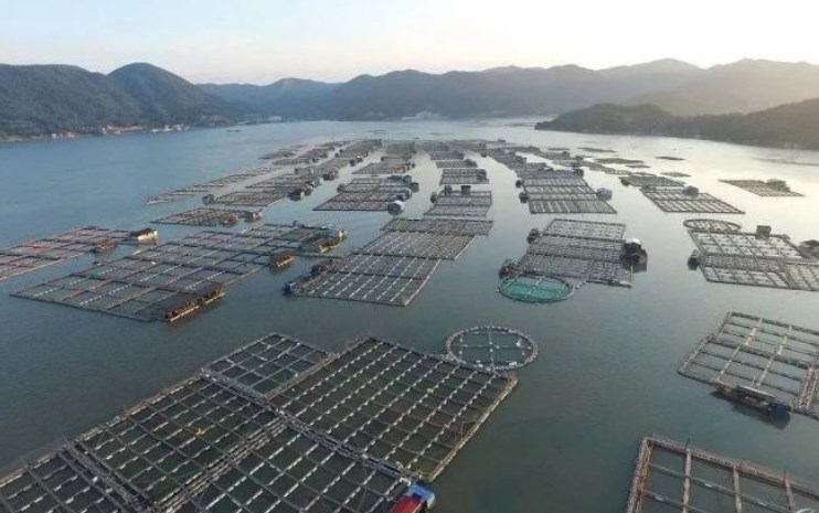 设备驱动增效，冷链保障价值：2026上海渔博会汇聚养殖装备、加工机械、冷链科技定义水产新局(图2)