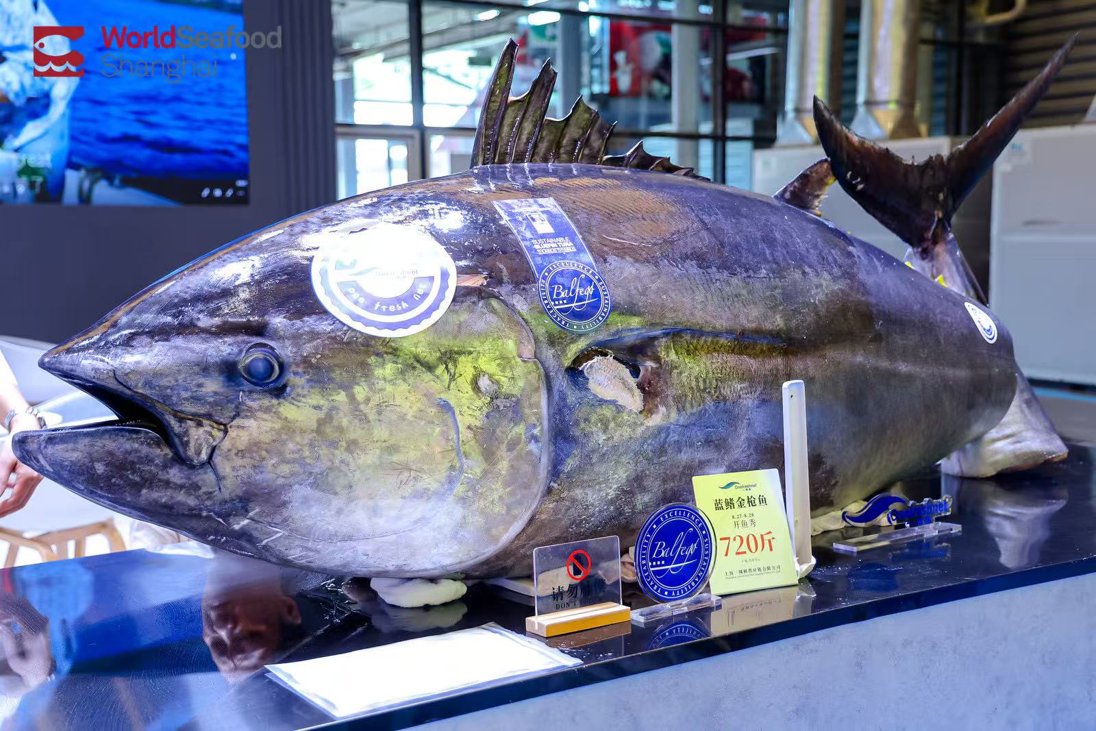 从海洋到礼单，开启千亿礼赠新蓝海 | 2026上海渔博会“电商礼品专区”隆重邀约(图12)