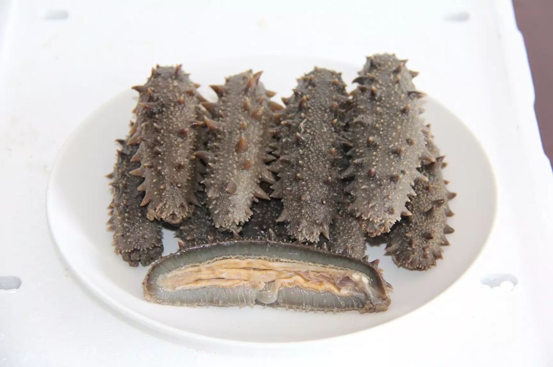 高端不贵，便捷翻倍！上海渔博会滋补新品正在适配年轻化“快养生”(图10)