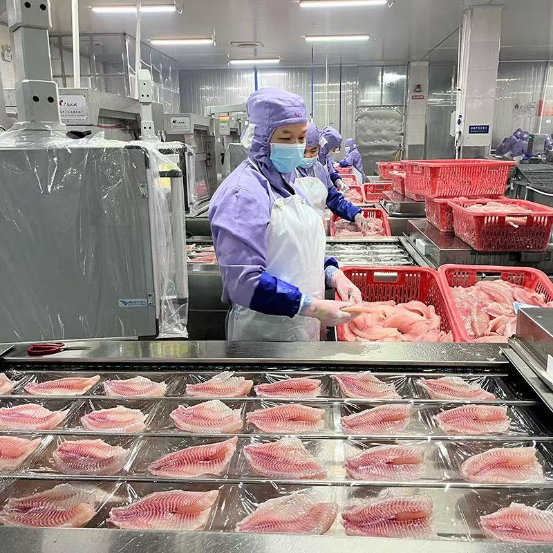 产能42万吨、出口近亿美元!越南罗非鱼产业加速抢占全球水产市场(图2) 产能42万吨、出口近亿美元!越南罗非鱼产业加速抢占全球水产市场(图2)