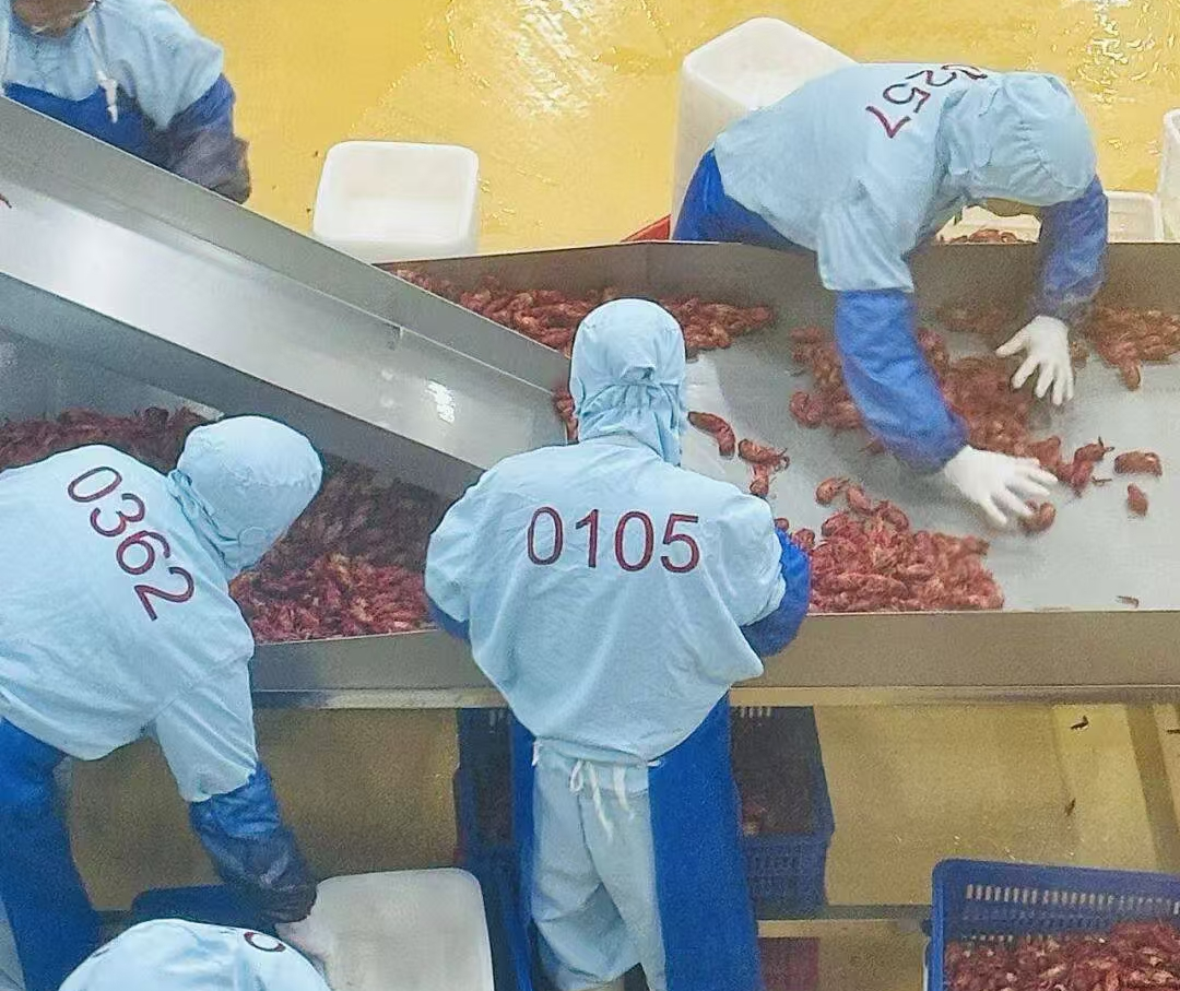 龙头产能落地监利!德善食品投产补齐本地小龙虾精深加工短板(图2) 龙头产能落地监利!德善食品投产补齐本地小龙虾精深加工短板(图2)
