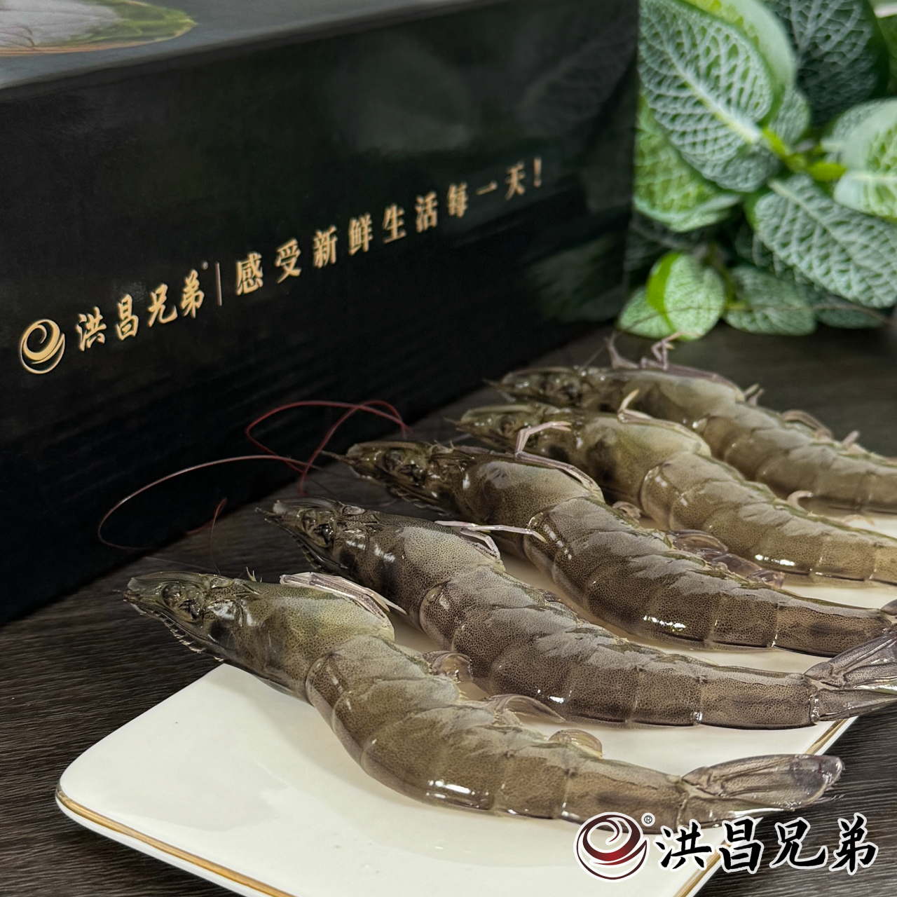 虾界“顶流”！白虾、甜虾、黑虎虾、牡丹虾…谁是你的心动“虾”？(图16)