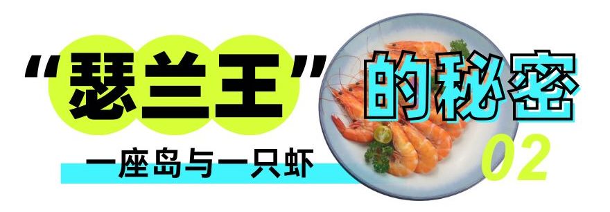 必打卡！“瑟兰王”虾登陆上海渔博会，源自印尼原始生态海岛的鲜甜暴击(图7)