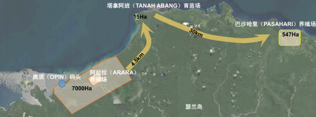 必打卡！“瑟兰王”虾登陆上海渔博会，源自印尼原始生态海岛的鲜甜暴击(图8)